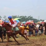 Potensi Besar Atlet Pacuan Kuda Kabupaten Kediri Dilihat Oleh KONI