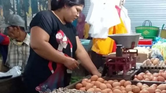 Harga telur di pasar Jember masih belum stabil