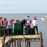 Melepas Burung Bangau Dan Menanam Mangrove Di Nguling Pasuruan Bersama Gubernur Jawa Timur, Khofifah Indar Parawansa