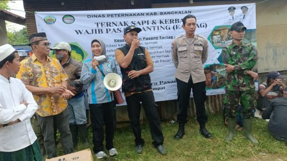 Getol Lakukan Sosialisasi, Pemasangan EarTag pada Hewan Ternak Naik Drastis